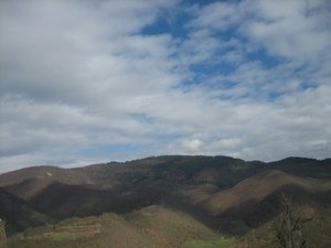 09.04.08. 009_resize.jpg, 30 KB